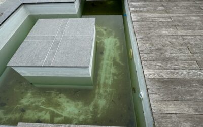 Piscine verte et parois glissantes : causes, traitement et prévention des algues