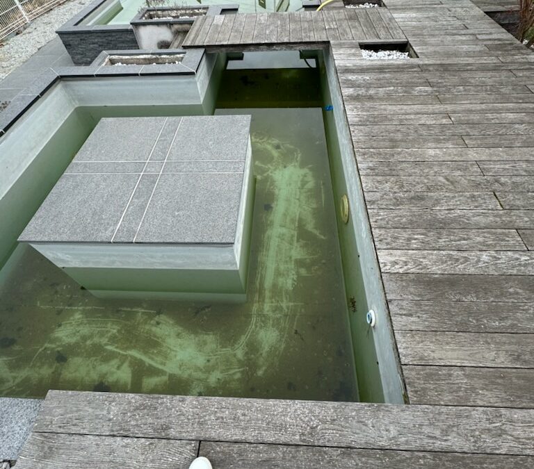 Piscine verte et parois glissantes : causes, traitement et prévention des algues